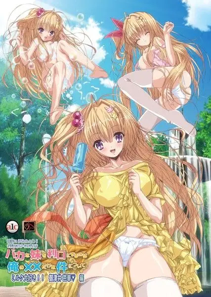 My stupid sister wants me: 私のバカな妹は私を望んでいる