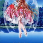 Concerto : 協奏曲